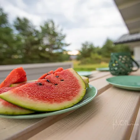 Oaza Spokoju Siecino شقة *