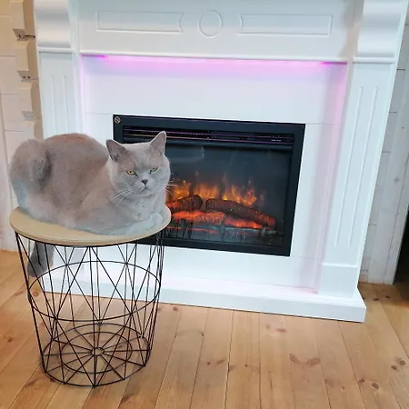 Oaza Spokoju Siecino شقة *