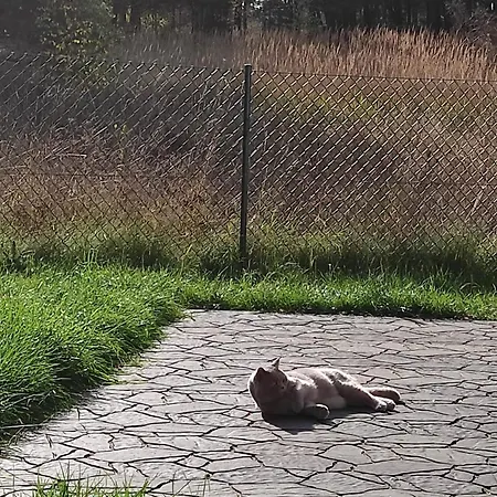 Oaza Spokoju Siecino *