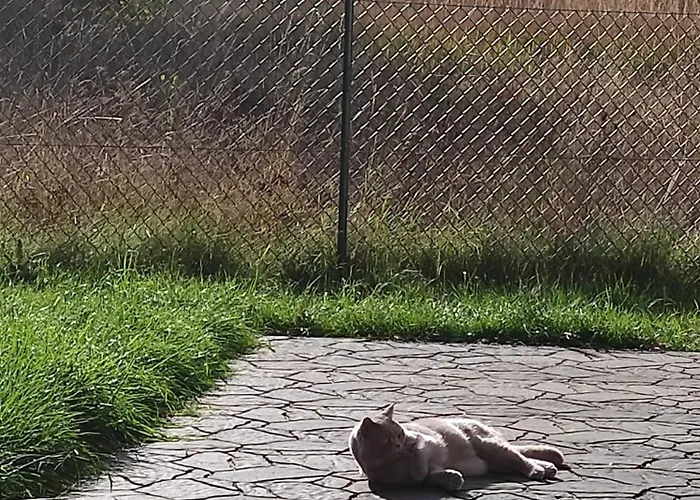 Oaza Spokoju Siecino *